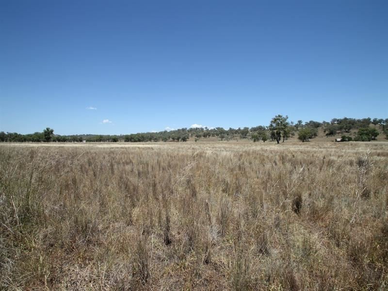 148 Warrah Creek Rd, Willow Tree NSW 2339