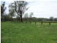 . “Mountain Station”, Merriwa NSW 2329