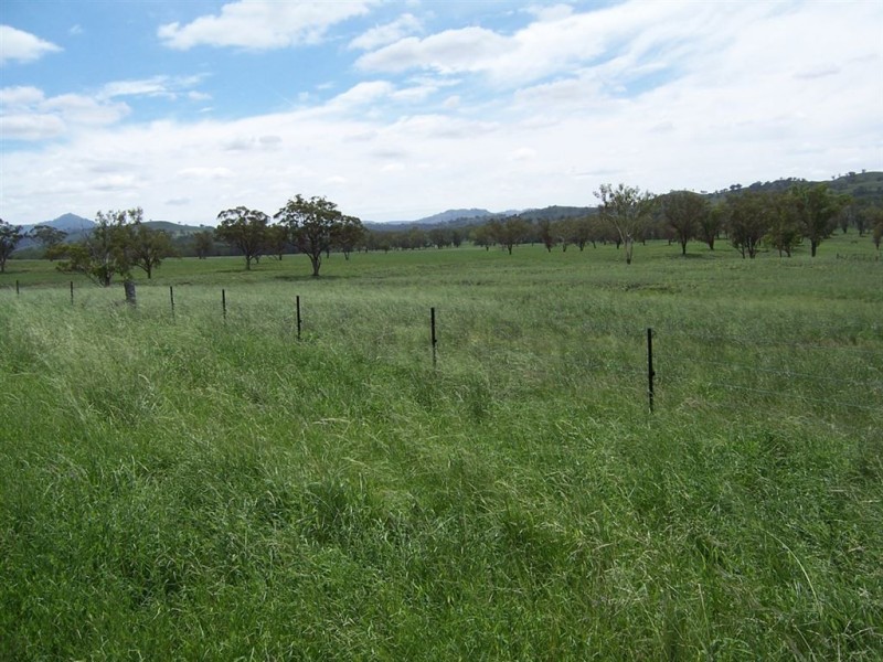 . “Mountain Station”, Merriwa NSW 2329