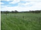 . “Mountain Station”, Merriwa NSW 2329