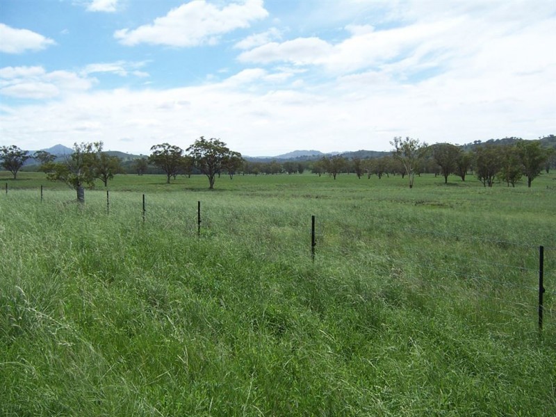 . “Mountain Station”, Merriwa NSW 2329