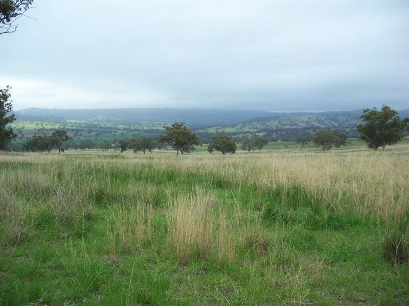 . “Mountain Station”, Merriwa NSW 2329