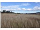 3735 New England Highway, Scone NSW 2337