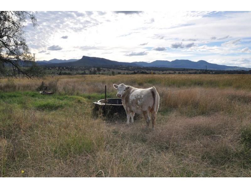 3735 New England Highway, Scone NSW 2337