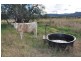 3735 New England Highway, Scone NSW 2337