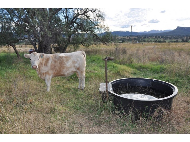 3735 New England Highway, Scone NSW 2337