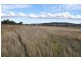 3735 New England Highway, Scone NSW 2337
