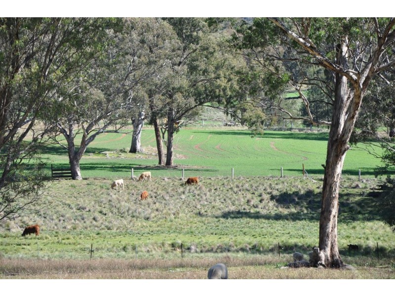 . “Glenmyle” Crawney Rd, Timor NSW 2338