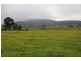 539 Sandy Creek Rd, “Nakiska”, Muswellbrook NSW 2333