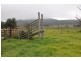 539 Sandy Creek Rd, “Nakiska”, Muswellbrook NSW 2333