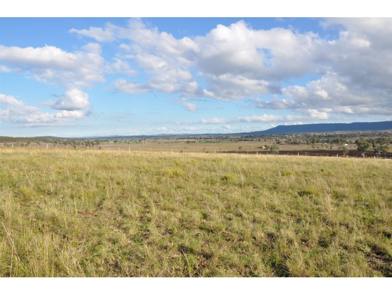 51 Allan Cunningham Rd, Scone NSW 2337