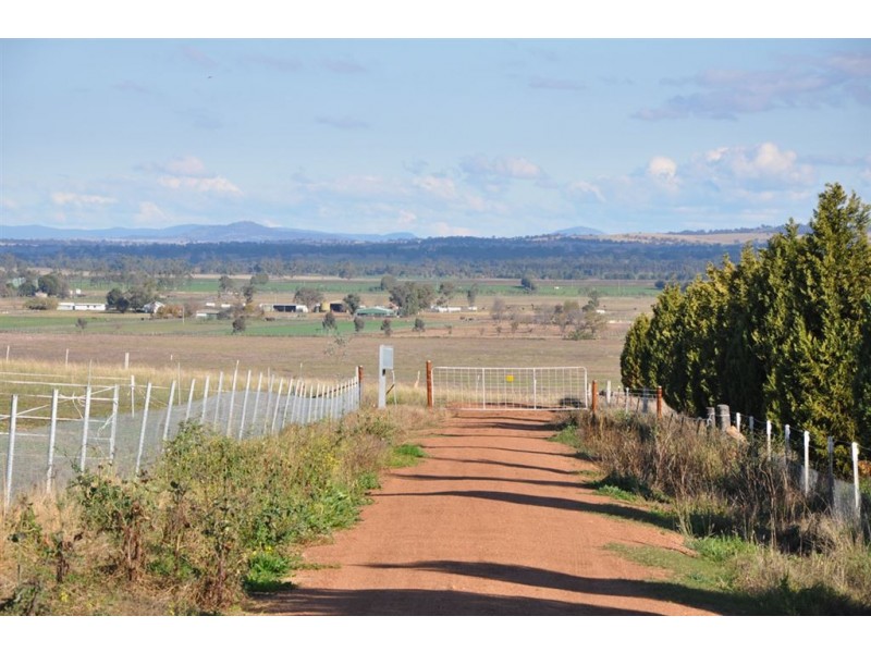51 Allan Cunningham Rd, Scone NSW 2337