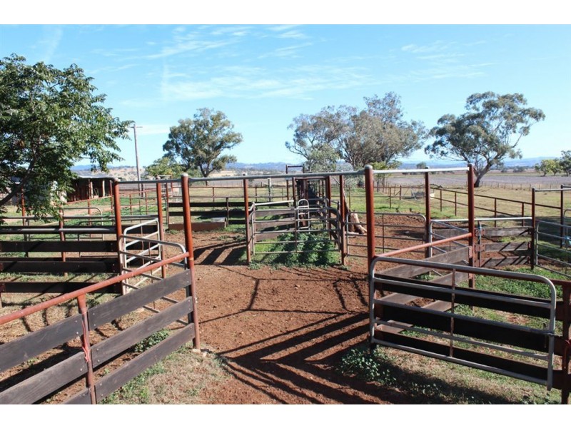 . “Kelverton”, Merriwa Rd, Willow Tree NSW 2339