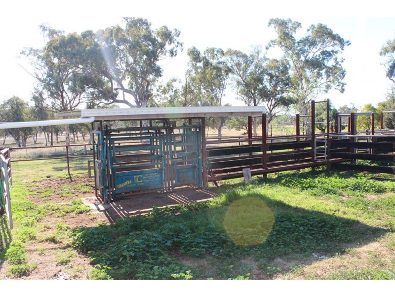 . “Kelverton”, Merriwa Rd, Willow Tree NSW 2339