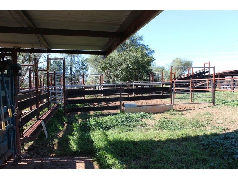 . “Kelverton”, Merriwa Rd, Willow Tree NSW 2339