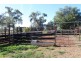. “Kelverton”, Merriwa Rd, Willow Tree NSW 2339