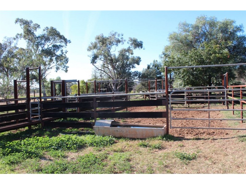 . “Kelverton”, Merriwa Rd, Willow Tree NSW 2339