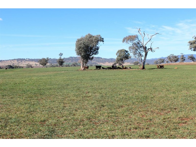 . “Kelverton”, Merriwa Rd, Willow Tree NSW 2339