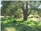 . “Upsandowns”, Crawney Rd, Timor NSW 2338
