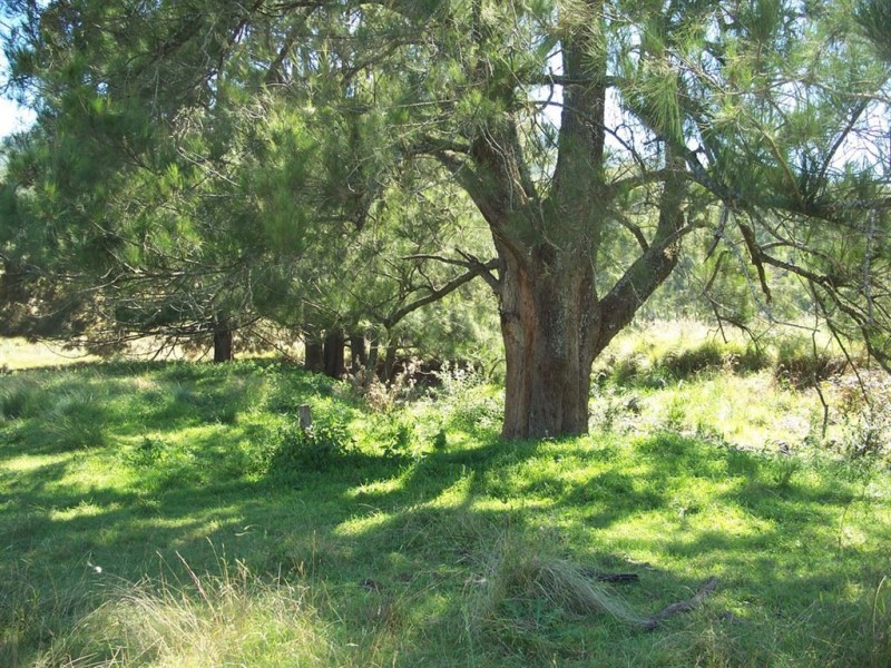 . “Upsandowns”, Crawney Rd, Timor NSW 2338
