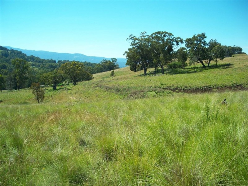 . “Upsandowns”, Crawney Rd, Timor NSW 2338
