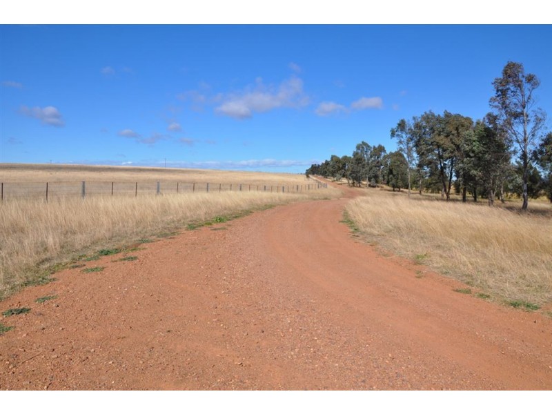 115 Milford Hills Lane, Turanville, Scone NSW 2337