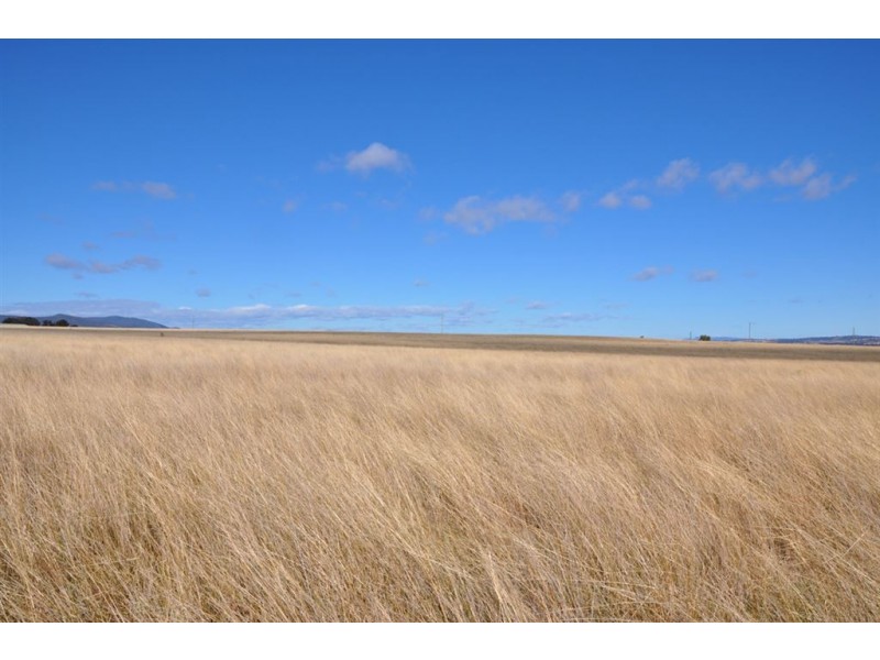 115 Milford Hills Lane, Turanville, Scone NSW 2337