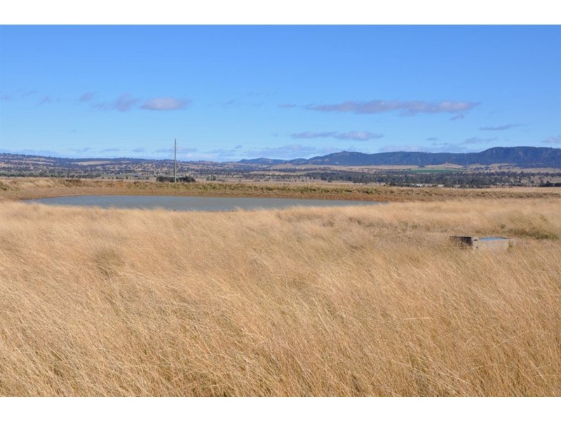 115 Milford Hills Lane, Turanville, Scone NSW 2337