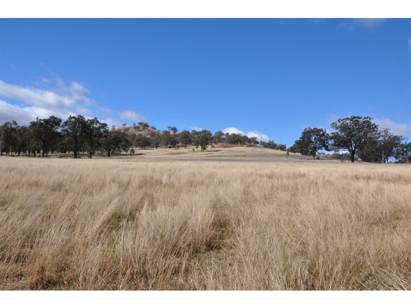 163 Milford Hills Lane, Turanville, Scone NSW 2337