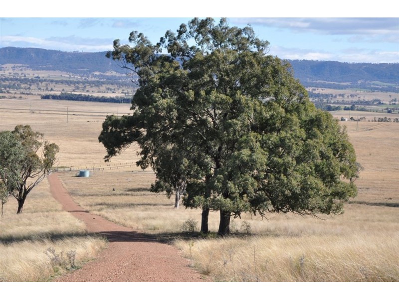 163 Milford Hills Lane, Turanville, Scone NSW 2337