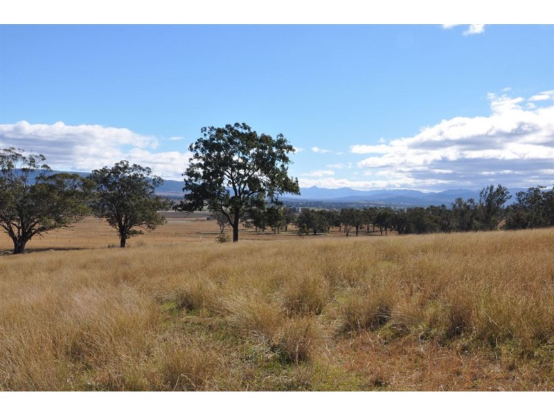 163 Milford Hills Lane, Turanville, Scone NSW 2337