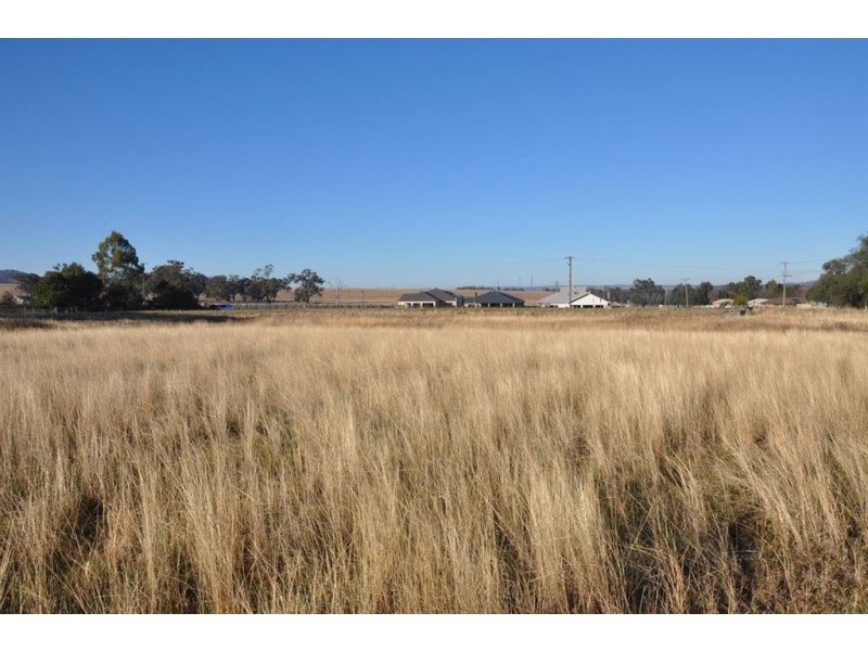 124 Barton St, Scone NSW 2337