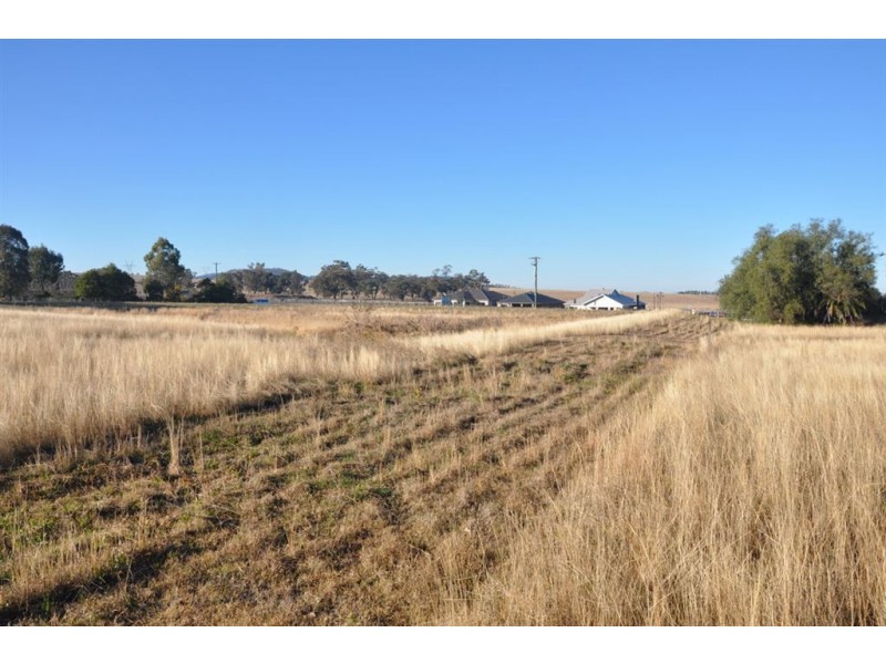 124 Barton St, Scone NSW 2337