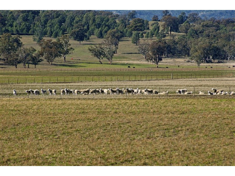 . “Rooganore”, Bonny Rigg Rd, Quirindi NSW 2343