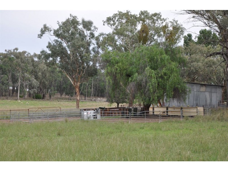 . “Rooganore”, Bonny Rigg Rd, Quirindi NSW 2343