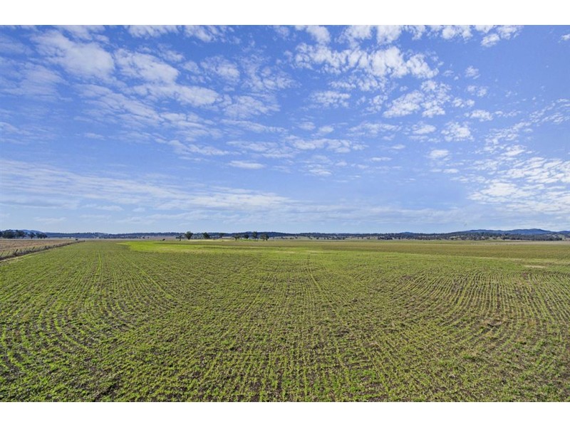 942 Warrah Ridge Rd, “The Yabby Ponds”, Quirindi NSW 2343