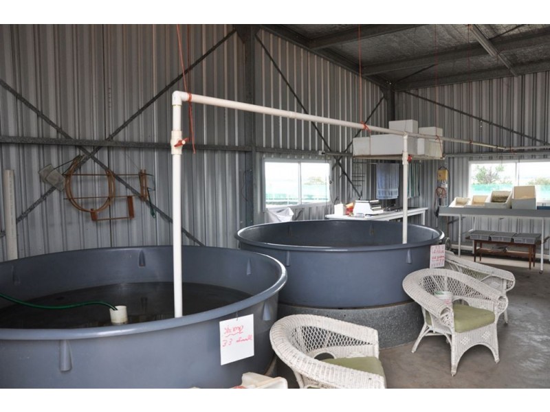 942 Warrah Ridge Rd, “The Yabby Ponds”, Quirindi NSW 2343