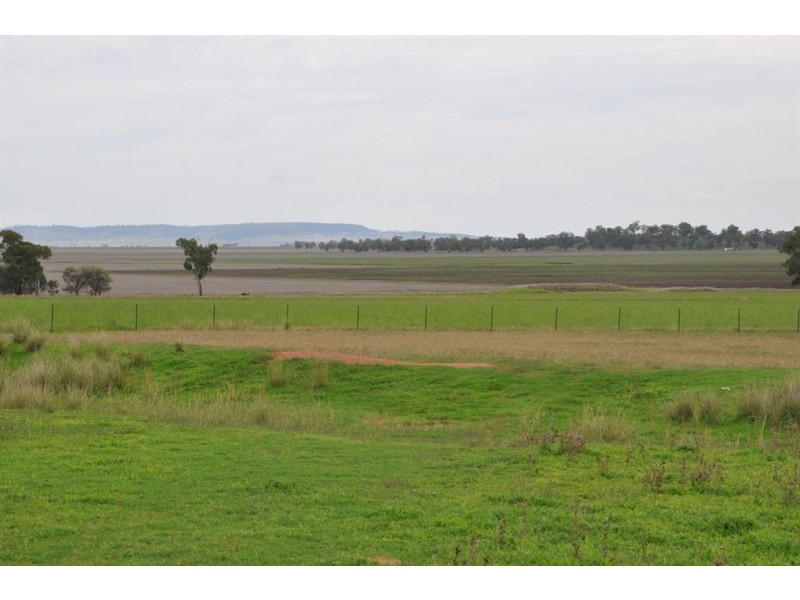 942 Warrah Ridge Rd, “The Yabby Ponds”, Quirindi NSW 2343