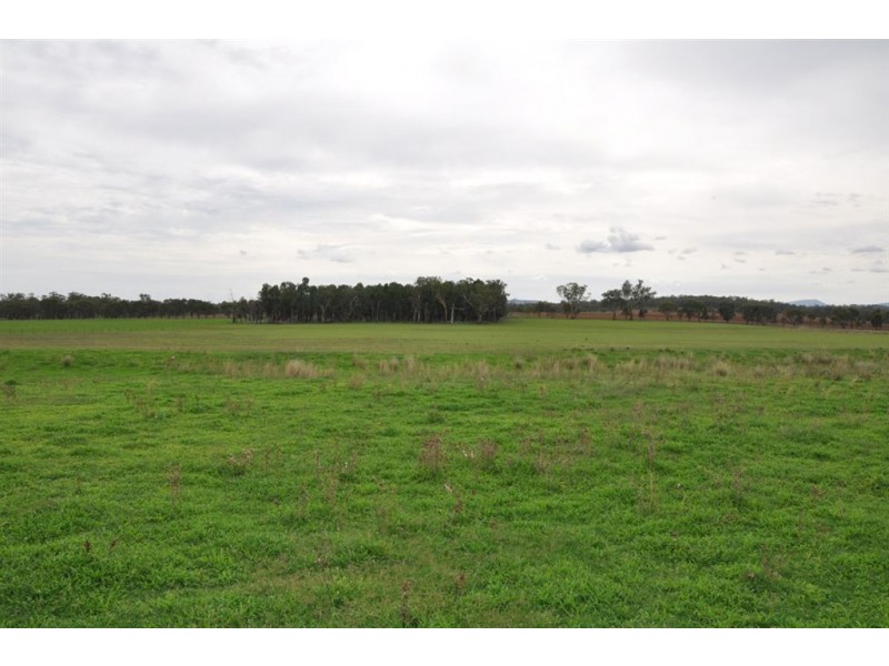 942 Warrah Ridge Rd, “The Yabby Ponds”, Quirindi NSW 2343