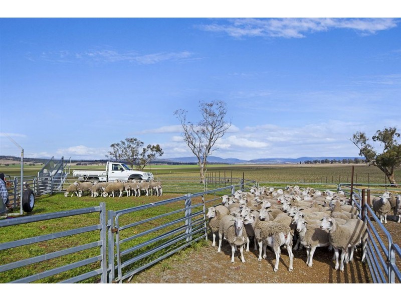 . Bonny Rigg Rd, “Turkey Island”, Quirindi NSW 2343