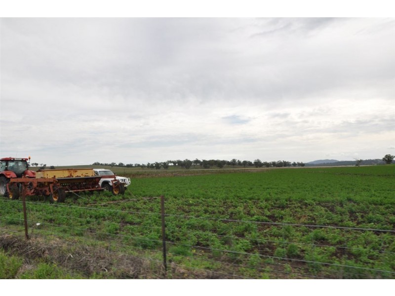 . Bonny Rigg Rd, “Turkey Island”, Quirindi NSW 2343