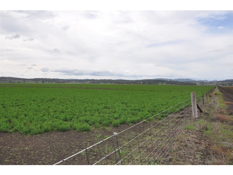 . Bonny Rigg Rd, “Turkey Island”, Quirindi NSW 2343