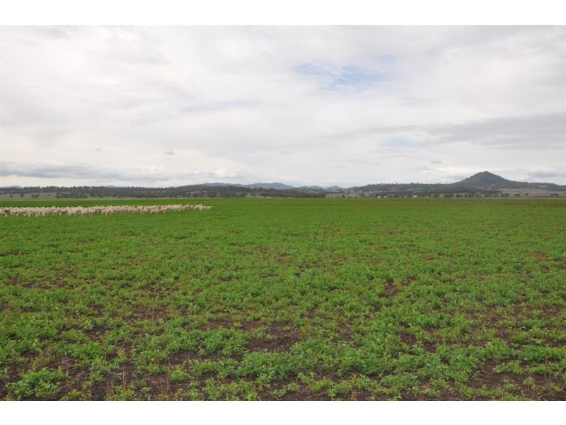 . Bonny Rigg Rd, “Turkey Island”, Quirindi NSW 2343