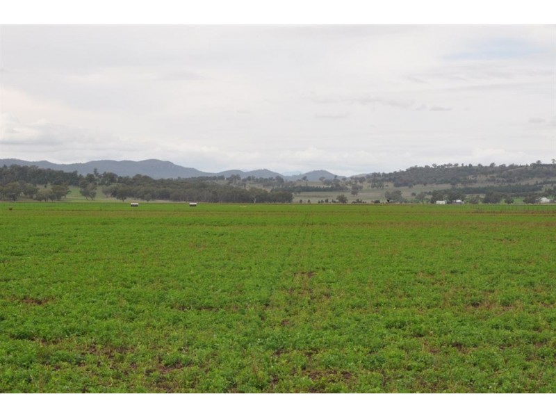 . Bonny Rigg Rd, “Turkey Island”, Quirindi NSW 2343