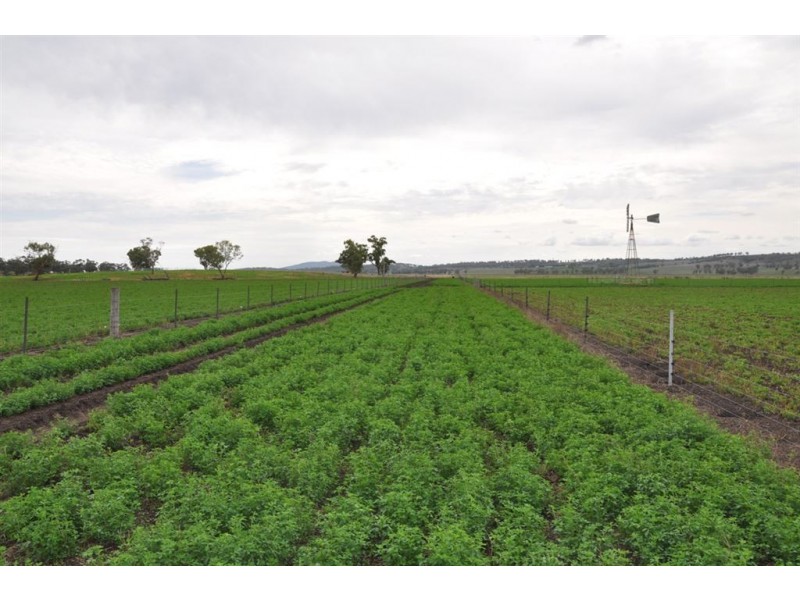 . Bonny Rigg Rd, “Turkey Island”, Quirindi NSW 2343