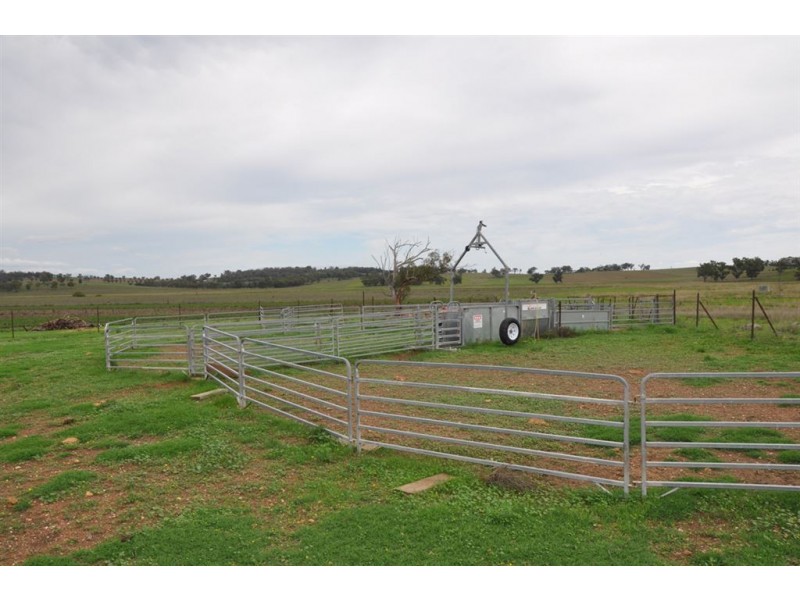 . Bonny Rigg Rd, “Turkey Island”, Quirindi NSW 2343