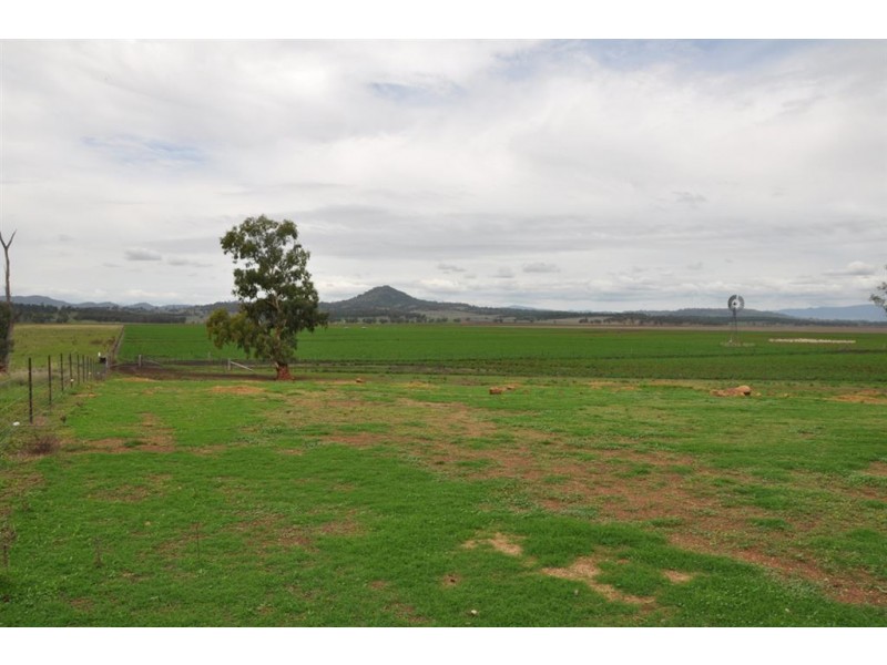. Bonny Rigg Rd, “Turkey Island”, Quirindi NSW 2343