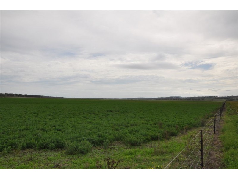 . Bonny Rigg Rd, “Turkey Island”, Quirindi NSW 2343