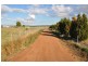 51 Allan Cunningham Rd, Scone NSW 2337