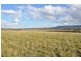 51 Allan Cunningham Rd, Scone NSW 2337